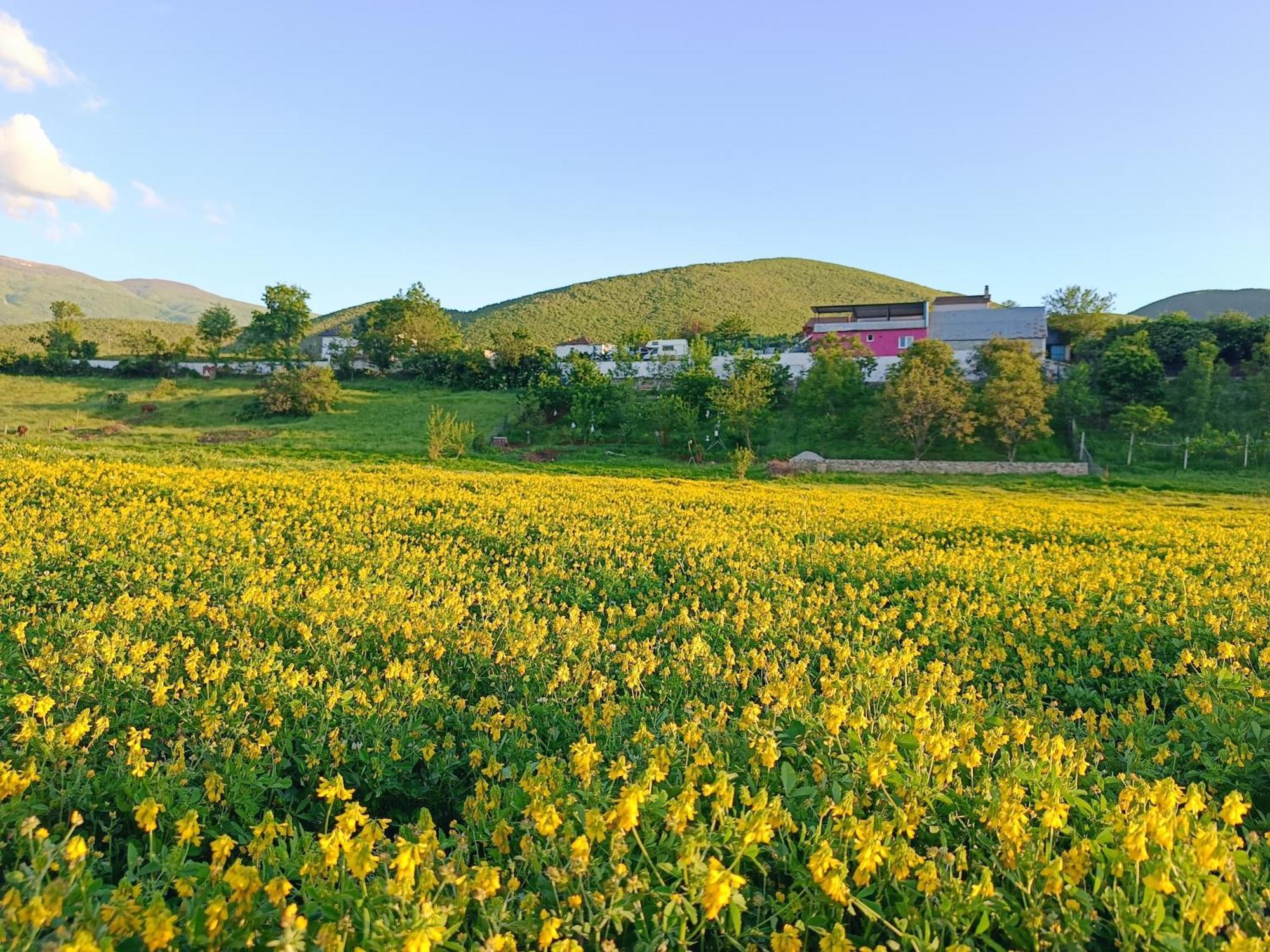 Superpanorama Guesthouse Kukes Exterior foto